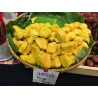 ราคา ขนุนเพชรราชา (จำนวน 10 ต้น) สูง 50-80 เซน (19776071981)