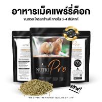 ราคา อาหารแพรี่ด็อก Nutri-pro 1 กิโล กระต่ายแกสบี้ชินชิล่า ส่งฟรีทั่วไทย (27867815798)
