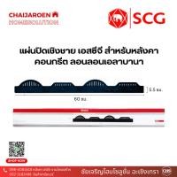 ราคา SCG แผ่นปิดเชิงชาย สำหรับหลังคาคอนกรีต ลอนเอลาบานา / แผ่นปิดกันนก SCG (10 แผ่นต่อกล่อง) (20994462232)