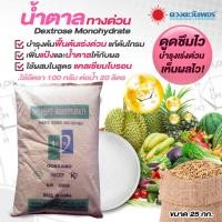 ราคา (ยกกระสอบ25kg) ปุ๋ย น้ำตาลทางด่วน น้ำตาลทางด่วนช่วยลดปัญหาการหลุดร่วงของผล เพิ่มพลังาน #น้ำตาลทางด่วน #ดวงตะวันเพชร (24538221780)