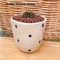 ราคา ⚪️กระถางลายจุดน้ำเงิน ทรงสูงสวย กระถางเซรามิคเคลือบเงา น่ารักมาก ขนาด 3*3*2นิ้ว ใส่แคคตัสต้นไหนก็น่ารัก (8864235826)