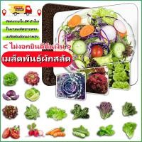 ราคา เมล็ดผักสลัด เมล็ดผัก เมล็ดพันธุ์ เมล็ดพันธุ์ผักสลัด งอกดี ปลูกผักสลัด (26973867220)