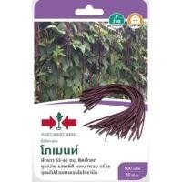 ราคา ถั่วฝักยาว เมล็ดพันธุ์ถั่วฝักยาวม่วง โกเมนท์หมดอายุ02/02/2567บรรจุ100 เมล็ด ยาว 55-60ซม. ติดฝักดก ฝักถั่วสีม่วงเข้ม (15101467284)
