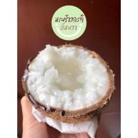 ราคา ✅ พร้อมส่ง❗️ราคาดีที่สุด ถูกมาก❗️มะพร้าวกะทิลูก มะพร้าวกะทิ มะพร้าวกะทิเนื้อฟู มะพร้าวกะทิน้ำข้น มะพร้าวกะทิพร้อมทาน (11109711548)