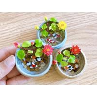 ราคา อ่างบัว อ่างปลาคร๊าฟจิ๋ว เสริมฮวงจุ้ย น่ารักมาก ขนาดเล็ก กว้าง 5 cm. (41405623443)