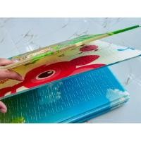 ราคา เสื่อรองคลาน พับได้ 6 ฟุต ลายการ์ตูน2หน้า (22967049954)