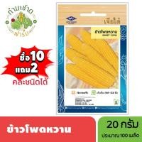 ราคา เจียไต๋ (ซื้อ10แถม2) เมล็ดพันธุ์ ข้าวโพดหวาน ขนาด20กรัม ประมาณ100เมล็ด Sweet Corn ข้าวโพด เมล็ดพันธุ์พืช เมล็ดผัก ปลูกผั (5517997531)