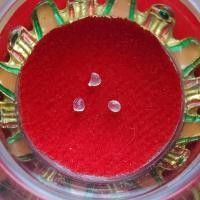 ราคา พระธาตุจากเกศา หลวงพ่อแพ เขมังกโร วัดพิกุลทอง (รหัส Z4/4) (8015696053)