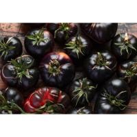 ราคา ต้นพันธุ์ มะเขือเทศดำ มะเขือเทศเชอรี่สีดำ ถุงดำพร้อมปลูก 29บาท black tomato (28829931729)