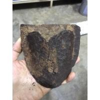 ราคา ผานไถโบราณ ผาลไถนามือ2ใบผาลมือสอง สบไถนา ผาลไถโบราณ ของโบราณ วัตถุอาถรรพ์ เครื่องรางสมัยพุทธกาล ขับเสนียด ป้องกันคุณไสย (8564814803)