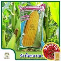 ราคา เมล็ดข้าวโพดหวาน หวานสวีท ขนาด500กรัม ตราตะวันต้นกล้า เมล็ดข้าวโพด เมล็ดพันธุ์ข้าวโพด เมล็ดพันธุ์ข้าวโพดหวานแม่และเด็ก/ห (19659169703)