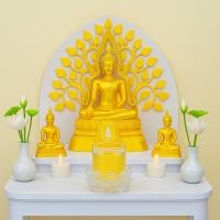 ราคา แก้วช็อต แก้วเป๊ก แก้วน้ำพระ พานโตกพลาสติก ชุดแก้วน้ำถวายพระ (44152289709)