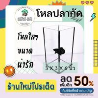 ราคา โหลปลา โหลปลากัด 3x3x6 โหลใสๆ ใบน่ารักๆ (21840276265)