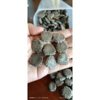ราคา เมล็ดพันธุ์ฟักข้าวแท้ (27610028453)