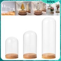 ราคา [Lslye] โหลแก้วใส ทรงโดม พร้อมฐานไม้ สําหรับตกแต่งออฟฟิศ (25955443538)