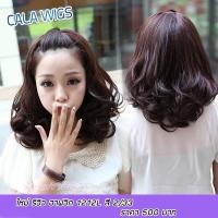 ราคา วิกผม ฮาฟวิกครึ่งหัว Calawigs ร้านฟ้าใสวิกผม ครึ่งหัวลอน ลอนฟาร่าบ่าๆ สินค้าส่งในไทย พร้อมส่ง (6135252390)