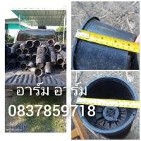 ราคา กระถางมือสอง คละ 5-6นิ้ว (27157621289)