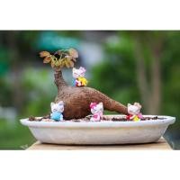 ราคา มะยมเงินมะยมทอง ทรงแปลก ติดใบแล้ว ส่งพร้อมวัสดุปลูก(ดิน เม็ดปอปเปอร์) (5997204764)