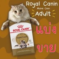 ราคา **แบ่งขาย** Royal Canin Maine Coon Adult สำหรับแมวโต พันธุ์เมนคูน (24084330741)