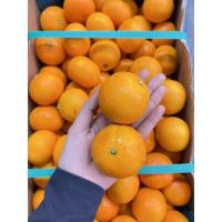 ราคา ส้มจิ๋วเซาท์ จาก South Africa นน. 10 kg. ราคา 1,190 บาท ส่งฟรี (20731284388)