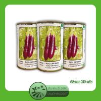 ราคา มะเขือยาวสีม่วง อินทนิล เมล็ดพันธุ์มะเขือยาวสีม่วงลูกผสม อินทนิล ตราซีดไลน์ ปริมาณ 20 กรัม (24700657032)