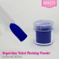ราคา กำมะหยี่ประดับเล็บ สีน้ำเงิน (5668174735)