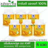 ราคา [แพ็ค 6 ขวด] ขมิ้นชัน​แคปซูล ขมิ้นชัน ตราเคเอ็มพี​ KMP แก้วมังกรเภสัช 100 แคปซูล/ขวด (24801685710)