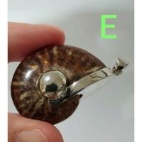 ราคา Ammonite pendant จี้ แอมโมไนต์เต็มตัว หอย แอมโมไนต์ หอยล้านปี จี้หอยแอมโมไนต์ คตหอย ใส่พกติดตัว เพิ่มพลัง (28050305944)