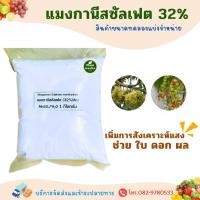 ราคา แมงกานีส ซัลเฟต Mn 32% จุลธาตุ แมงกานีสซัลเฟตผง บรรจุ 1 กิโลกรัม . (4828468145)