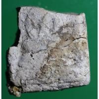 ราคา ชิ้นส่วนพระสมเด็จหัก พระสมเด็จหัก หายาก พิจารณาตามเนื้อพระและคราบกรุ (12422978650)