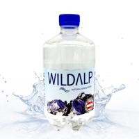 ราคา Wildalp Mineral Spring Water l น้ำแร่ธรรมชาติ จากเทือกเขาแอลป์ นำเข้าจากออสเตรเลีย ขวด / 500ml. (42952805425)