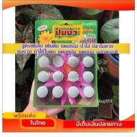 ราคา ปุ๋ยบัวช่องาม ปุ๋ยเร่งโต ปุ๋ยบัว ปุ๋ยบอน 12 เม็ด ปุ๋ยเม็ด พร้อมส่ง ส่งไว (18237859672)