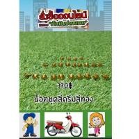 ราคา น็อตชุดสีเวฟดรีมซุปเปอร์คัพ สีทอง ขายเป็นชุด (6731832995)