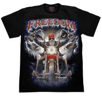 ราคา เสื้อยืดสกรีนเรืองแสง ROCK CHANG HD110 (28088074889)