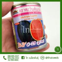 ราคา แตงโม กินรี C-29 C29 ซี29 (ลูกใหญ่) เมล็ดพันธุ์ แตงโม ตรา ตะวันต้นกล้า บรรจุ 40 กรัม (9095193791)
