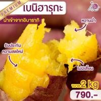 ราคา เจ มันหวานญี่ปุ่น เบนิฮารุกะ 2kg มันหวานญี่ปุ่นโยชิ มันหวานญี่ปุ่นเบนนิฮารุกะ ปลูกที่ญี่ปุ่น 100% (5057317608)