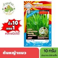 ราคา 3A (ซื้อ10แถม1) เมล็ดพันธุ์ ต้นหญ้าแมว ข้าวสาลีแมว ขนาด10กรัม ประมาณ200เมล็ด WHEAT ต้นอ่อนข้าวสาลี เมล็ดพันธุ์พืช เมล็ด (4843275966)