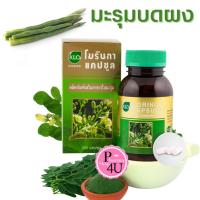 ราคา KHAOLAOR Moringa ขาวละออ มะรุม โมรินกาแคปซูล ผลิตภัณฑ์เสริมอาหาร ใบมะรุม สารอาหารสูง 100/200 เม็ด (5917491968)