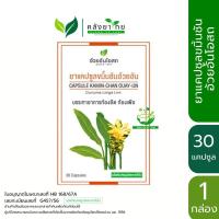 ราคา ขมิ้นชัน อ้วยอัน 30 แคปซูล/กล่อง อ้วยอันโอสถ Herbal One (ยาสามัญประจำบ้าน) (14843479958)
