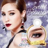 ราคา คอนแทคเลนส์ Sweety plus สี Hydrocor gray (130989854)