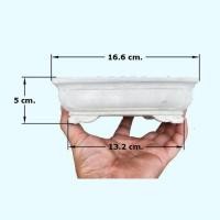 ราคา กระถางบอนไซ(ปูนเปลือย) (26355723664)