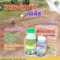 ราคา เมเจอร์สตาร์พลัส ชุดคุมหญ้าในนาข้าว ยาคุมหญ้าในนาข้าว คุมหญ้าใบกว้าง คุมหญ้าใบแคบ คุมหญ้าทุกชนิด คุมแห้ง (25022785125)