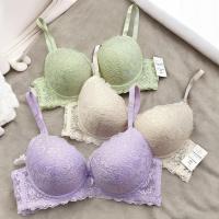 ราคา PIERRE CARDIN 62440 Bracade - Underwire - 2 Hooks - Pierre Cardin Bra (40071043173)