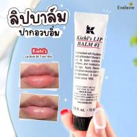 Kiehl's Lip Balm SPF4 