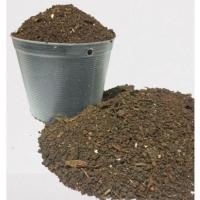 ราคา (2 กก.) ดินหมักใบก้ามปู ร่อนละเอียด ดินพร้อมปลูก ร่อนละเอียด ไม่ผสมแกลบดำ ขุยมะพร้าว ดินพร้อมปลูก ดินหมักใบก้ามปู ดิ (8633076797)