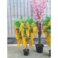 ราคา ต้นคูนปลอม ต้นราชพฤกษ์ปลอม (8968896495)