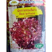 ราคา เมล็ดผักกาดหอมสีม่วงเมล็ดพันธุ์ตราภูเขาทอง (21472290087)