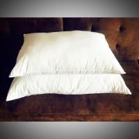 ราคา หมอนโรงแรม5ดาวไมโครไฟเบอร์แท้100% ขนาดละเอียดเท่าขนเป็ด (1623135647)