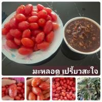 ราคา ต้นมะหลอด เพาะเมล็ดพร้อมปลูก (16120146636)