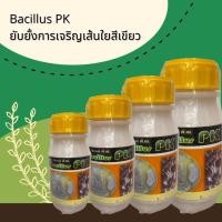 ราคา บาซิลลัส PK (Bacillus PK) ยับยั้งการเจริญเส้นใยสีเขียว พลายแก้วชีวภัณฑ์ ป้องกันและควบคุมเชื้อรา (11216490880)